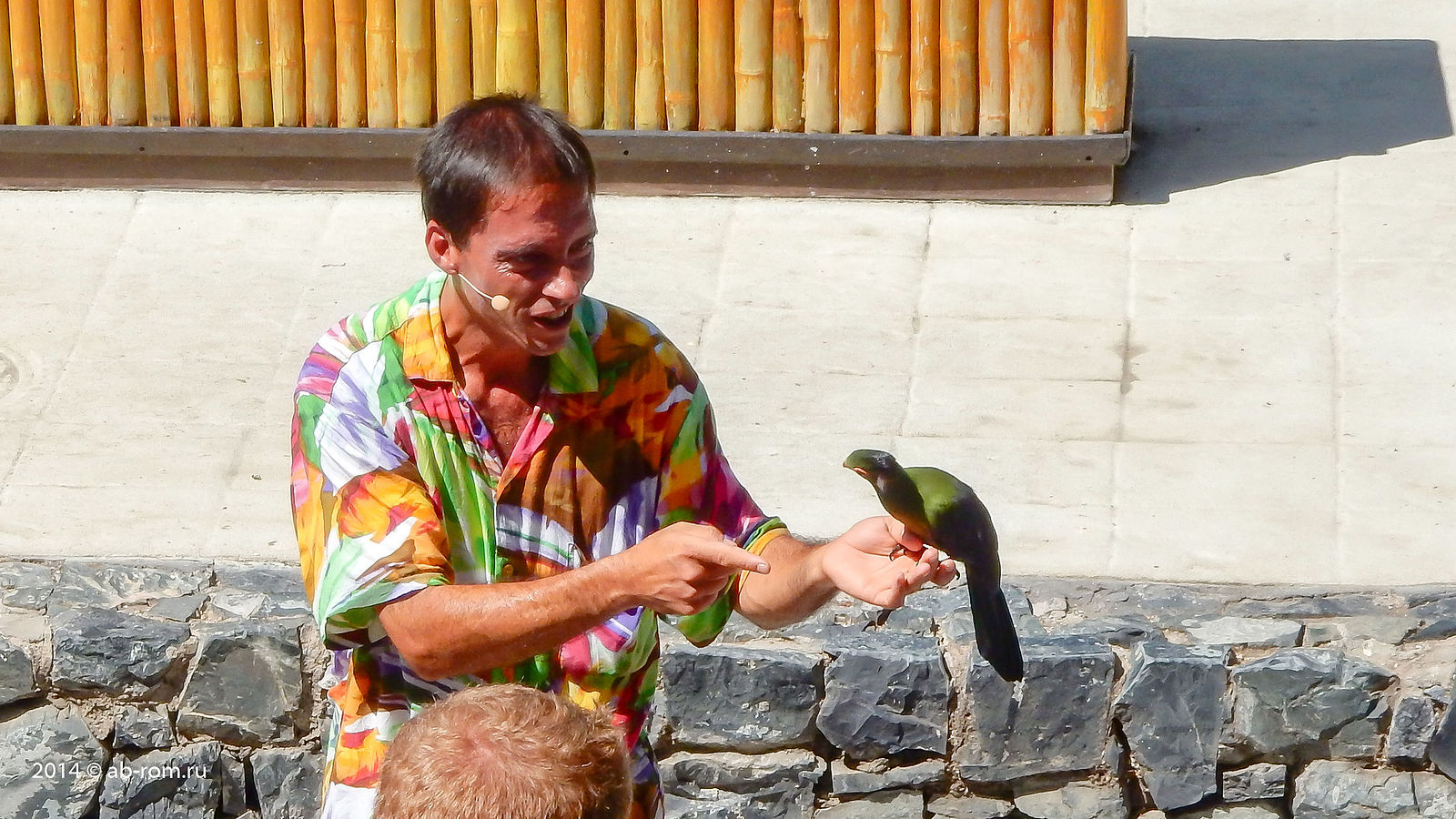 Шоу маст гоу он!